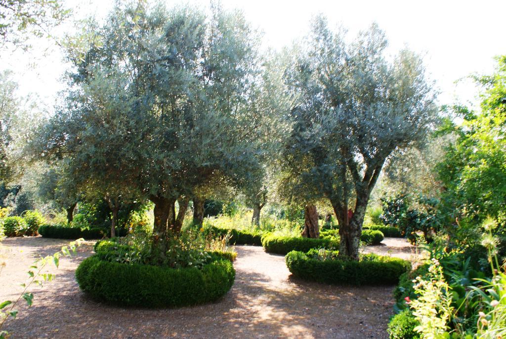 Quinta Da Agra Konuk evi Ponte de Lima Dış mekan fotoğraf